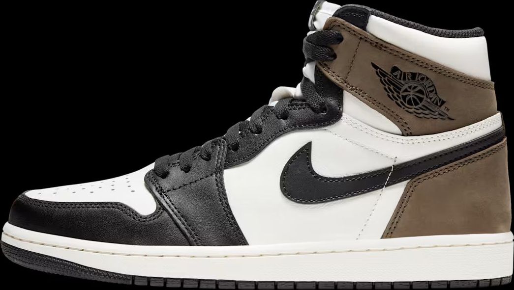 UA Air Jordan 1 Dark Mocha Premium view 2